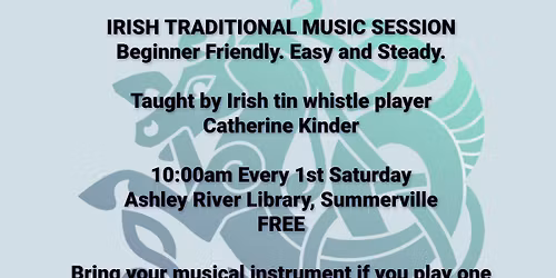 "Easy breezy" Irish trad session