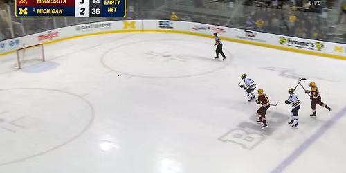 Minnesota Golden Gophers vs. Michigan Wolverines