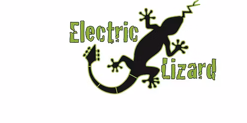 Electric Lizard at the Old Inn, Mullion!