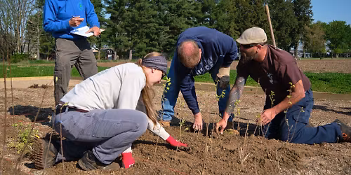 Shade Tree Board | 2026 Meetings