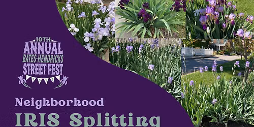 Neighbor Iris Splitting