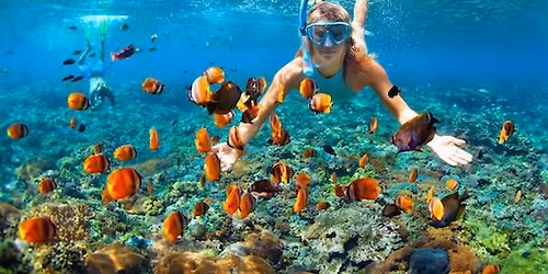 snorkeling in Key largo -Boat Ride