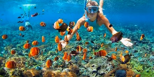 snorkeling in Key largo -Boat Ride