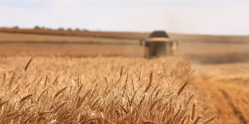 \u041c\u043e\u043d\u0433\u043e\u043b\u044b\u043d \u0445\u04e9\u0434\u04e9\u04e9 \u0430\u0436 \u0430\u0445\u0443\u0439\u043d \u0445\u0430\u043c\u0433\u0438\u0439\u043d \u0442\u043e\u043c \u04af\u0437\u044d\u0441\u0433\u044d\u043b\u044d\u043d (AgroExpo2026)