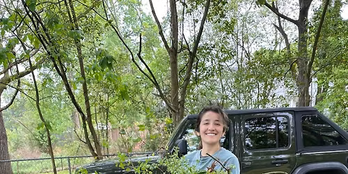 Invasive Plant Removal