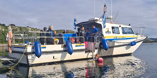 Little cumbrae boat trip and swim.