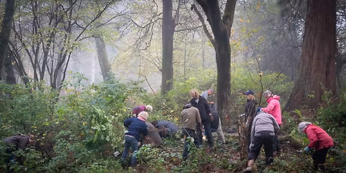 Community Volunteering Session - register your interest by email