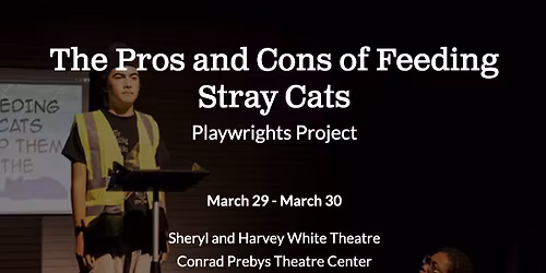Parking Stray Cats
