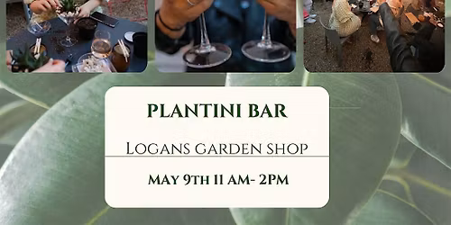 Plantini Bar