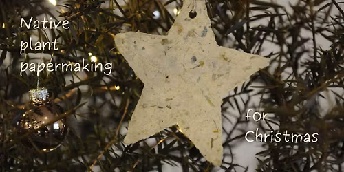 Native plant papermaking for Christmas