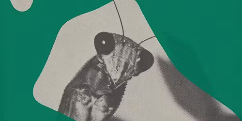 Courtney Barnett "Creature of Habit" Early Listening Party