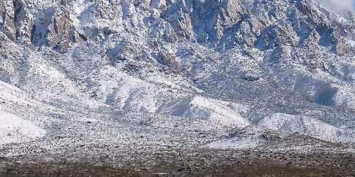 Epic estate sale in downtown Las Cruces