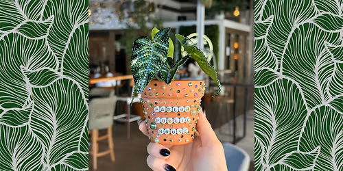 Bedazzle Bar | Parlor Public House