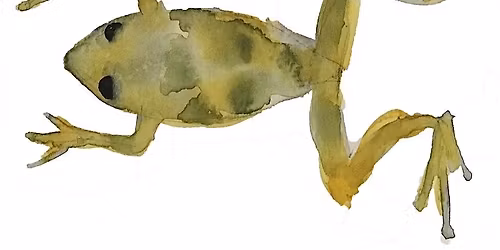 Watercolour for Beginners Jun-Jul 2026