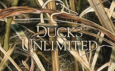 Caddo Ouachita Ducks Unlimited Banquet