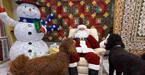 Crafts and Cookies with Santa 2025