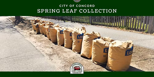 Concord Spring Leaf Collection