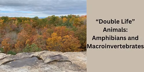 \u201cDouble Life\u201d Animals: Amphibians and Macroinvertebrates