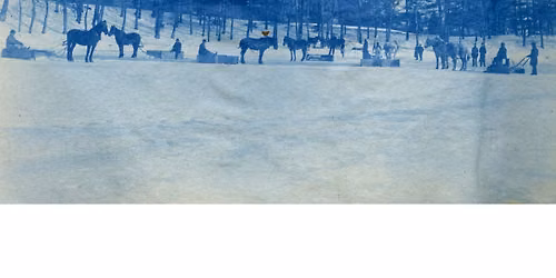 Walking Tour of Jamaica Pond