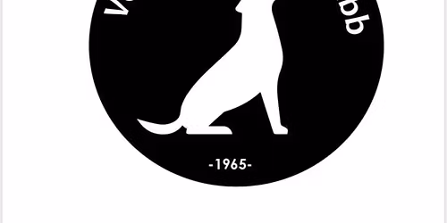 Treningsstevne Rallylydighet.