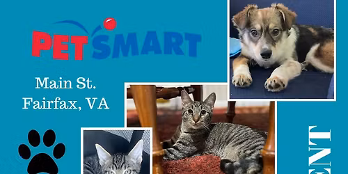 Fairfax, VA - PetSmart Adoption Event