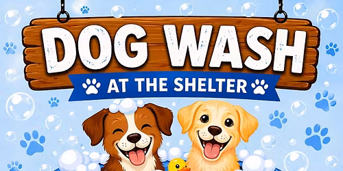 \ud83d\udc3e Dog Wash at the Shelter \ud83e\udee7