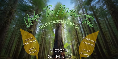 Into the Forest We Go ~ by Under the Mother Tree