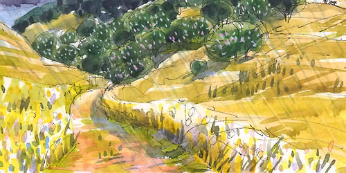 Woodland Wonders Art Camp at The Bothwell