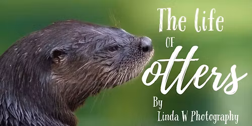 The Life of otters