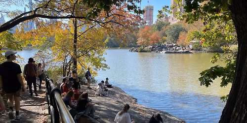 Sketch Central Park's Fall Leaves!
