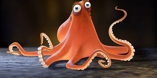 The Octopus