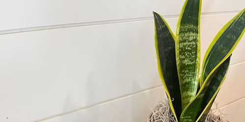 Dough Bowl Candle Class