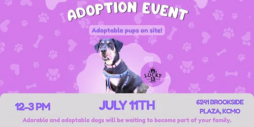 Adoption Event with Lucky 13 at Paws and Purrvisions