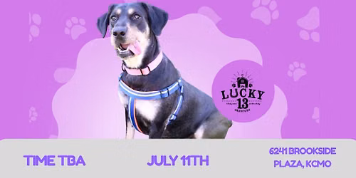 Adoption Event with Lucky 13 at Paws and Purrvisions 