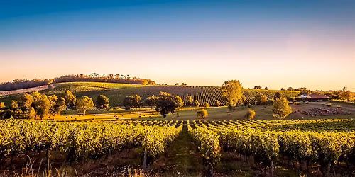 Wines of Bordeaux Tasting @ Esquin Wine & Spirits