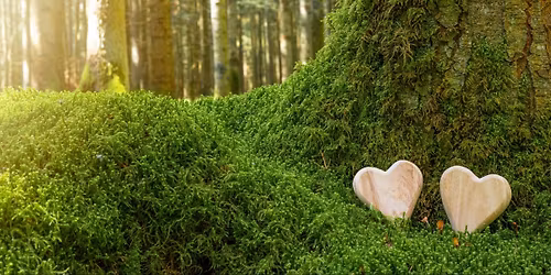 Restoration, Conservation, and Natural Deathcare: "What's the Difference?"