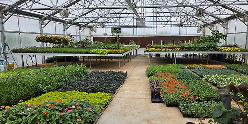 First Friday Horticulture Tour: Production Greenhouse