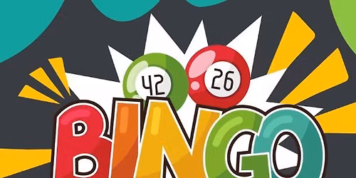 Bingo At The Village