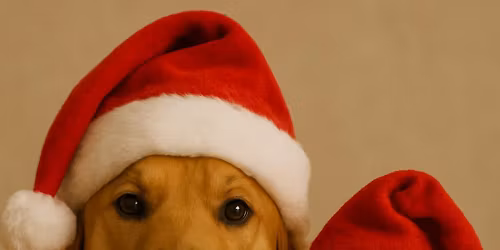 Paws with Claus Photo Shoot