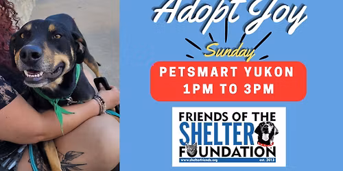 Yukon Petsmart Dog Adoptions 