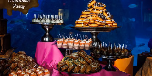 ALS Chocolate Meltdown Party