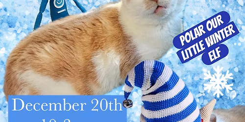 Last Chance Cat Ranch Christmas Craft & Bake sale