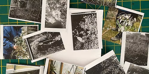 Communal: Eco-Emotions Collaborative Zine-Making
