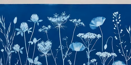 Botanical Cyanotype Printing: Adult Art Program(18 & Up), $4 per person