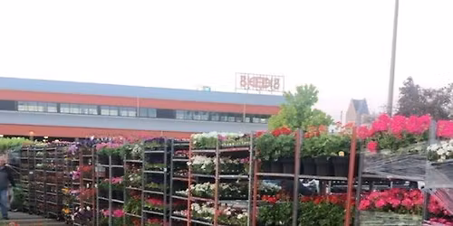Flower Day Eastern Market