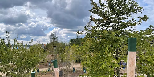  S\u00f8ndervold \u2013 en bypark fuld af liv, natur og sm\u00e5 oplevelser