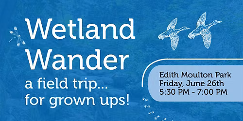 Wetland Wander - Edith Moulton Park