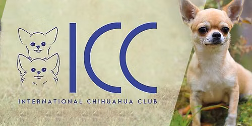 ICC SEMINARS (Breed theory & Ring Training practical)