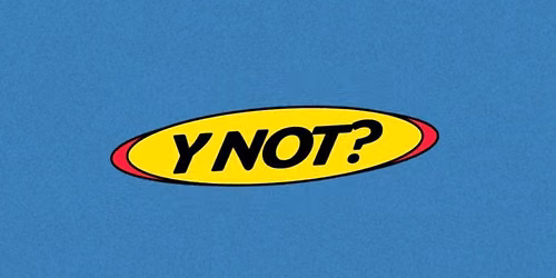Y NOT?  a y2k christmas \ud83d\udcab