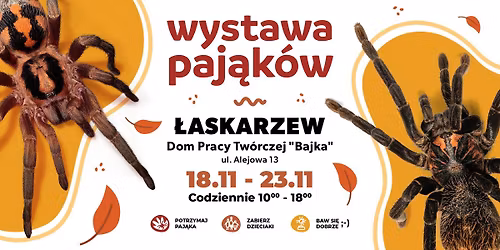 Wystawa Paj\u0105k\u00f3w \ud83d\udd77\ufe0f Dom Pracy Tw\u00f3rczej \u201eBajka" \u0141askarzew (18.11 - 23.11)